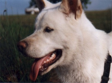 Akim