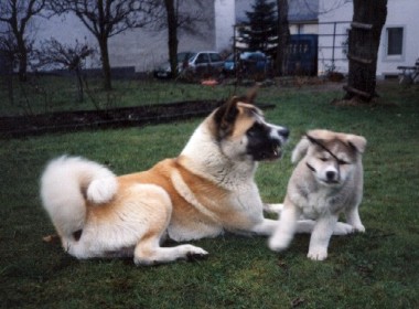Bruno und Chey
