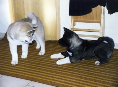 Chey und Lia