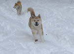 Chey im Schnee
