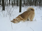 Chey im Schnee