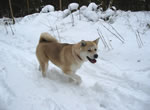 Chey im Schnee