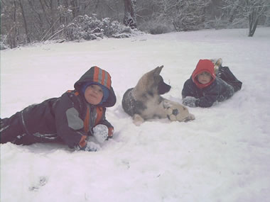 Der erste Schnee