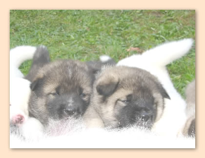 2 beim trinken