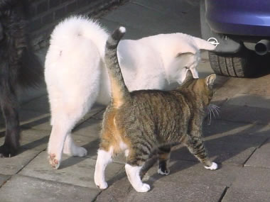 mit Freunden