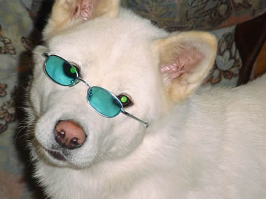 mit Brille