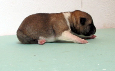 Tag 6
