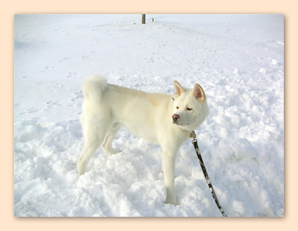 Eizan steht im Schnee