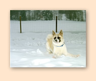 Taiko spielt im Schnee