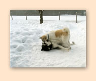 Taiko spielt im Schnee