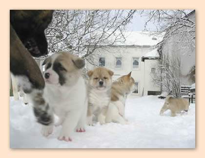 mit Jane im Schnee