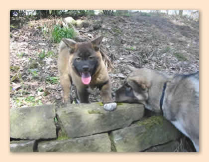 Jane und Daika an Mauer